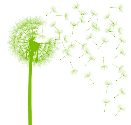 Dandelion seeds blowing away green ecology and time passing concept background vectorのイラスト素材