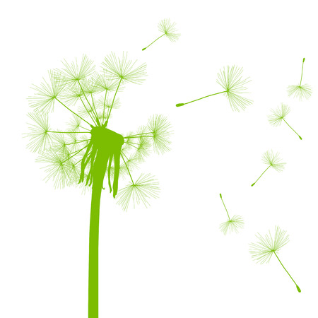 Dandelion seeds blowing away green ecology and time passing concept background vectorのイラスト素材