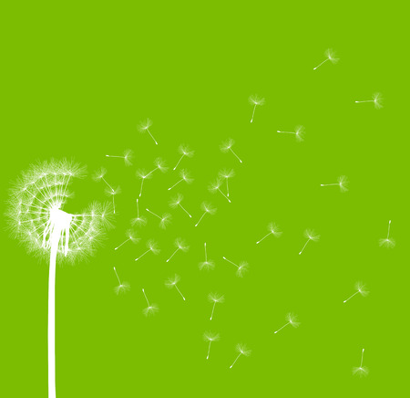 Dandelion seeds blowing away green ecology and time passing concept background vectorのイラスト素材