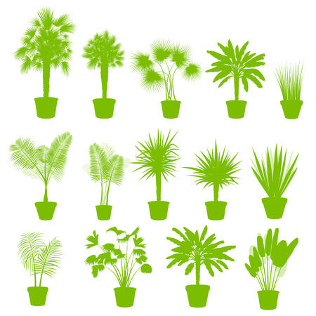 House indoor plants in pots set vector background green concept for posterのイラスト素材