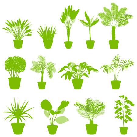 House indoor plants in pots set vector background green concept for posterのイラスト素材