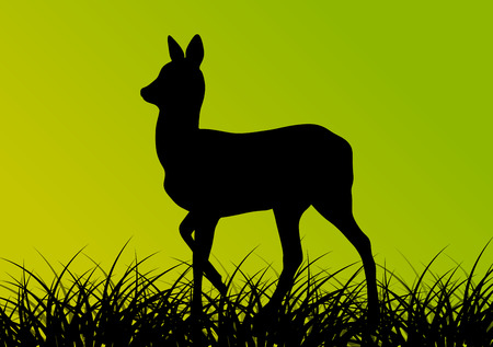 Deer doe in grass field vector background ecology conceptのイラスト素材