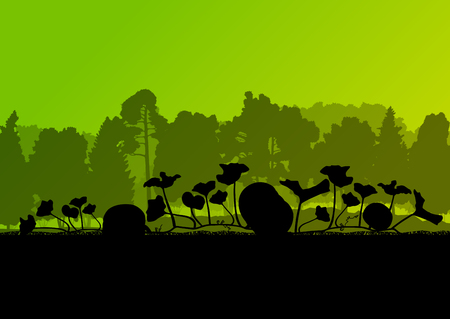 Pumpkin plants with rich harvest on a field for posterのイラスト素材