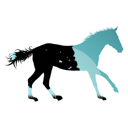Wild horse silhouette made of abstract background forest landscape all isolated on whiteのイラスト素材