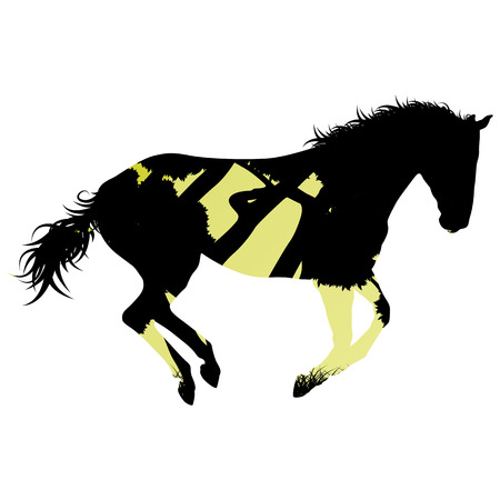 Wild horse silhouette made of abstract background forest landscape all isolated on whiteのイラスト素材