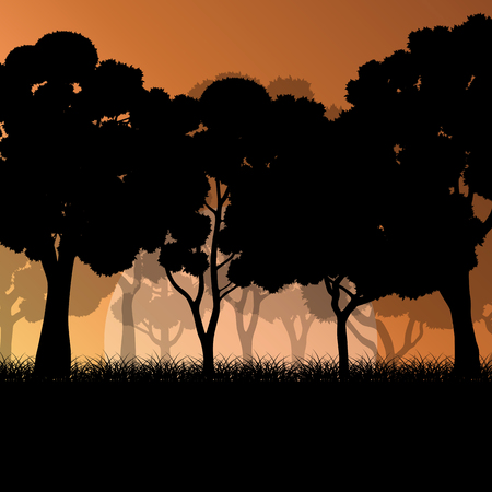 Forest trees landscape sunrise vector background illustration mystery conceptのイラスト素材