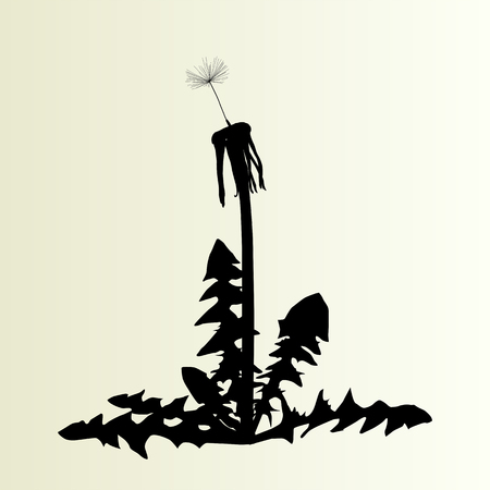 Abstract dandelion background vector illustration springtime conceptのイラスト素材