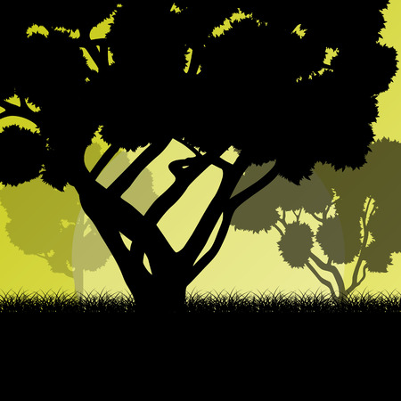 Forest trees landscape sunrise vector background illustration mystery conceptのイラスト素材