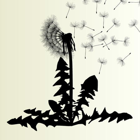 Abstract dandelion background vector illustration springtime conceptのイラスト素材