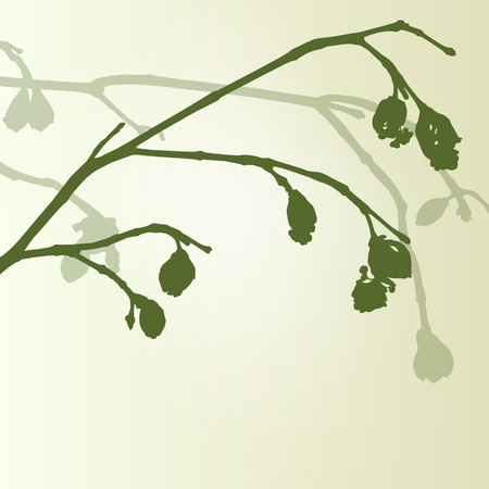 Branch green buds ecology environmental spring vintage background vector illustration new start conceptのイラスト素材