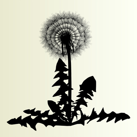Abstract dandelion background vector illustration springtime conceptのイラスト素材