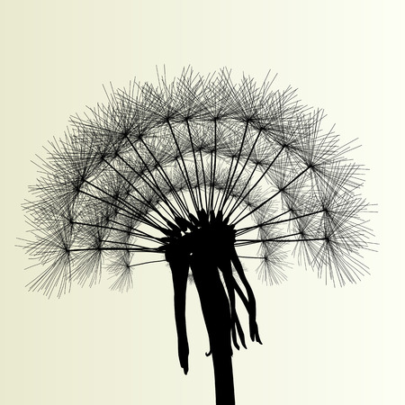 Abstract dandelion background vector Illustration spring conceptのイラスト素材