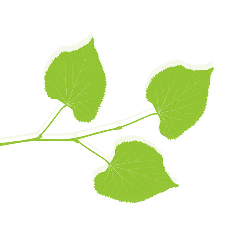 Green leaf ecology background vector environmentally friendly illustrationのイラスト素材