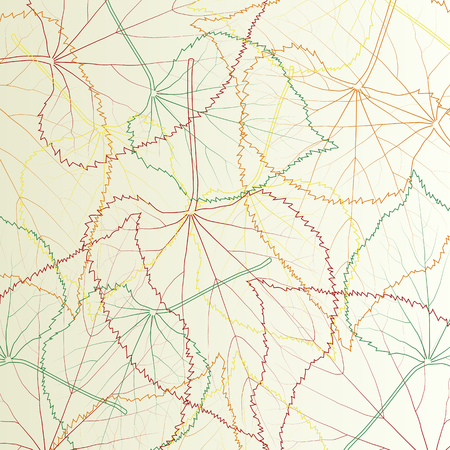 Leaves transparent background vintage illustration abstract vector with outlines and leaf veins structureのイラスト素材