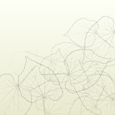Leaves transparent background vintage illustration abstract vector with outlines and leaf veins structureのイラスト素材