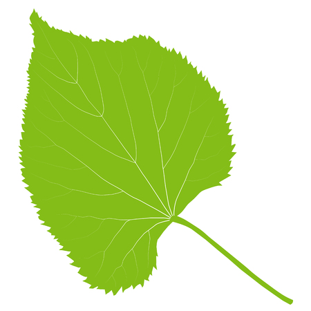 Green leaf ecology background vector environmentally friendly illustrationのイラスト素材