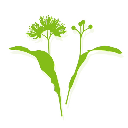 Linden flowers ecology background vector abstract illustrationのイラスト素材