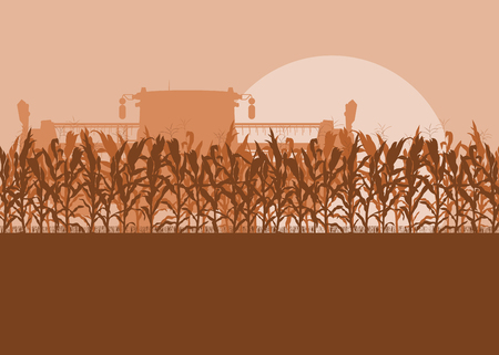 Corn field with harvester evening or morning light landscape vector backgroundのイラスト素材