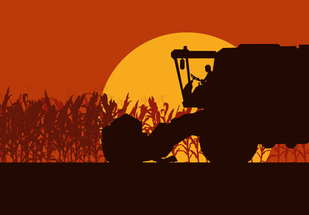 Corn field with harvester evening or morning light landscape vector backgroundのイラスト素材