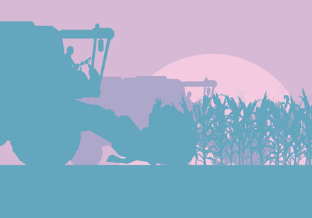Corn field with harvester evening or morning light landscape vector backgroundのイラスト素材