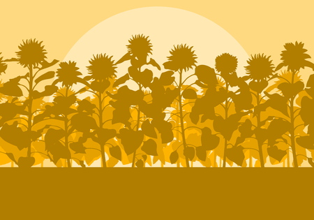 Blooming sunflowers field vector background landscape with sunsetのイラスト素材
