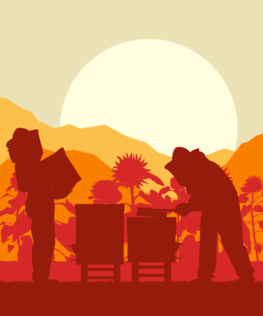 Beekeeper working in apiary in front of sunflower field vector backgroundのイラスト素材