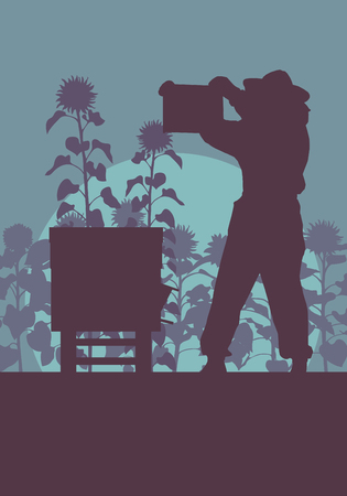 Beekeeper working in apiary in front of sunflower field vector backgroundのイラスト素材