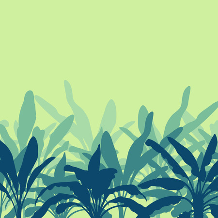 Raw banana tree farm field vector backgroundのイラスト素材