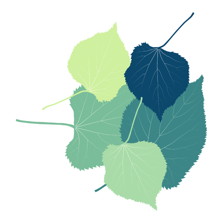Linden leaves vector abstract background with retro green colorsのイラスト素材