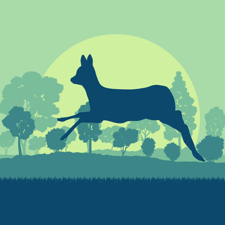 Roe deer in forest field with sunset and trees vector backgroundのイラスト素材