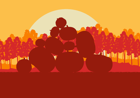 Pumpkin field in front of forest sunset vector backgroundのイラスト素材