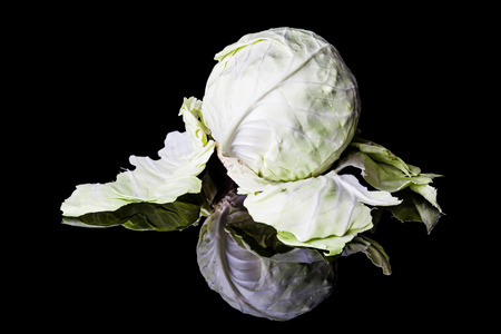 Peeled white light green cabbage head on black background with reflectionの写真素材