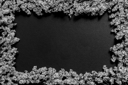 Black and white small dried flowers frame on black textured backgroundの写真素材