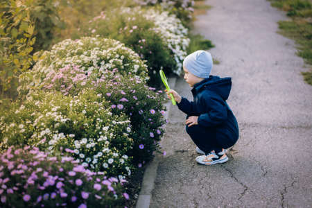 boy with magnifying glass examines flowersの写真素材