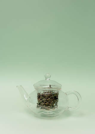 dry moss in a teapot, a healthy drinkの写真素材