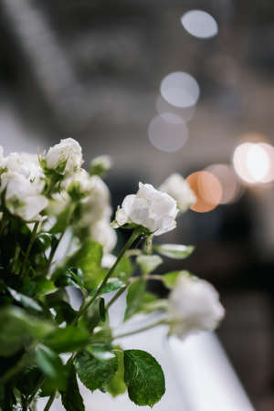 Bouquet of white flowers in a vase on a blurred backgroundの写真素材