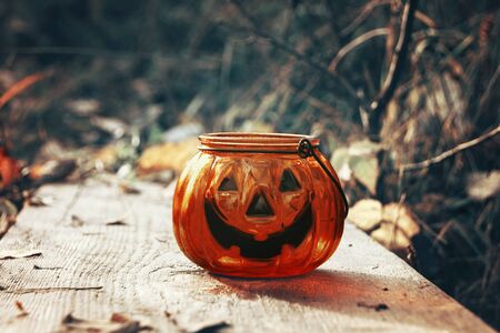 Halloween smiling pumpkin candlestick in autumn forest. Laughing Candlelightの写真素材