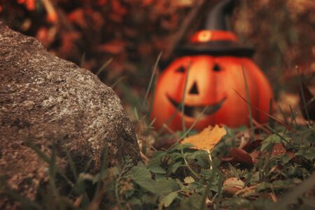 Halloween pumpkin in autumn forest nature. Fall mood magic photoの写真素材