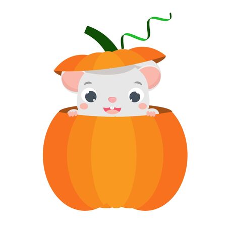 Cartoon mouse look out pumpkin. Little Cute rat eating cookieのイラスト素材