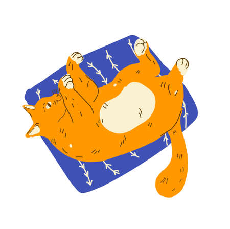 Funny cartoon ginger cats lazy relax. Modern flat style pet vector illustrationのイラスト素材