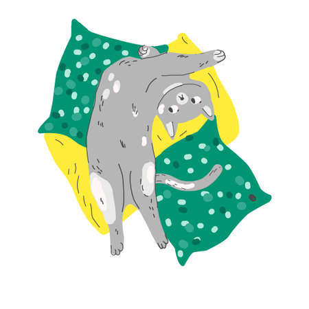 Funny cartoon cat relax in pillows. Modern flat style pet vector illustrationのイラスト素材
