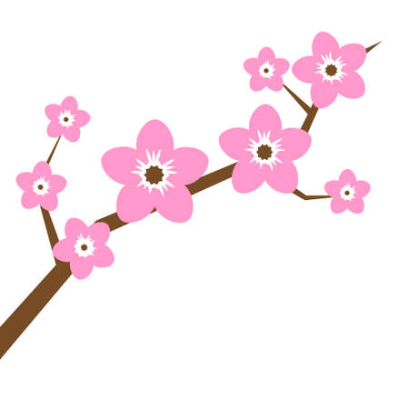 Vector branch of blossom sakura, blooming cherry tree with flowers isolated on a white background. Clip artのイラスト素材