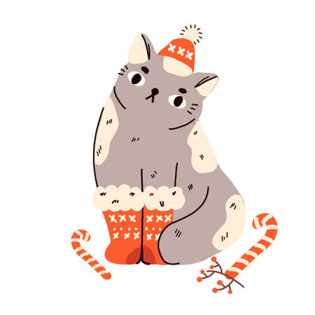 Funny cat in hat, red socks and with candy cane. Cartoon animal for Christmas and New Year celebration theme. Vector illustration for winter holidays cards, posters and etcのイラスト素材