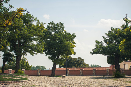 SZENTENDRE, HUNGARY,  summer paved area with treesの写真素材