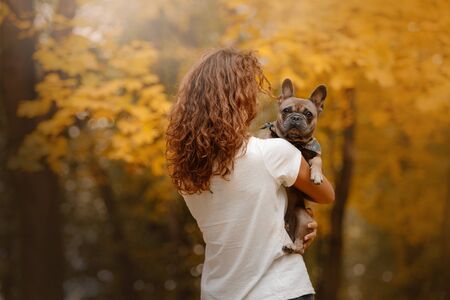 woman holding a french bulldog dog in her armsの写真素材