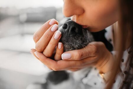 woman giving a kiss to dog on the nose close upの写真素材