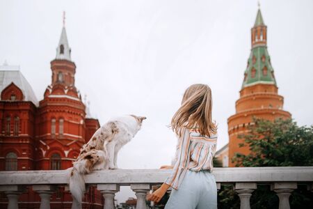 owner and dog walking in the city, rear viewの写真素材
