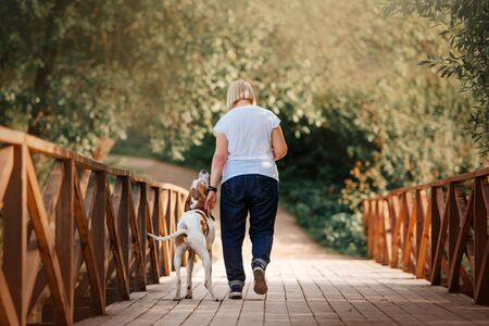 dog and owner crossing a wooden bridge, rear viewの写真素材