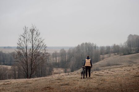 owner and weimaraner dog standing on a field, rear viewの写真素材