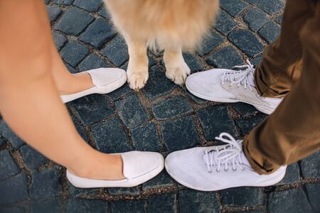 top view of owners legs and dog paws on the streetの写真素材